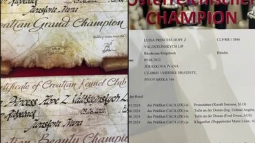 New CHAMPION of Croatia