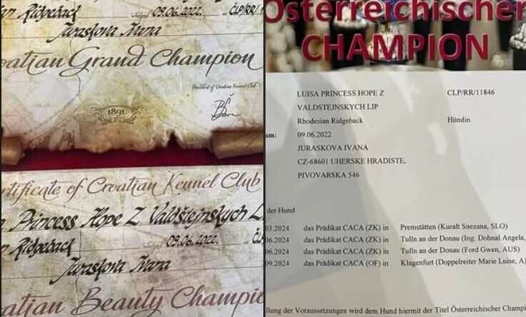 New CHAMPION of Croatia