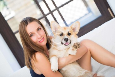 Dogs and Their Owners‘ Stories