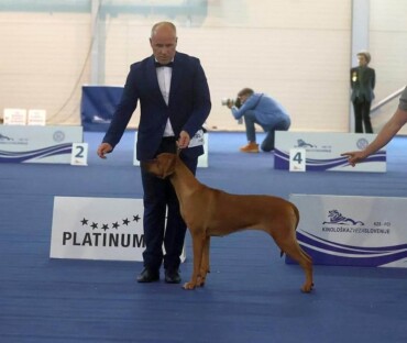 EURO DOG SHOW Slovenia 2024