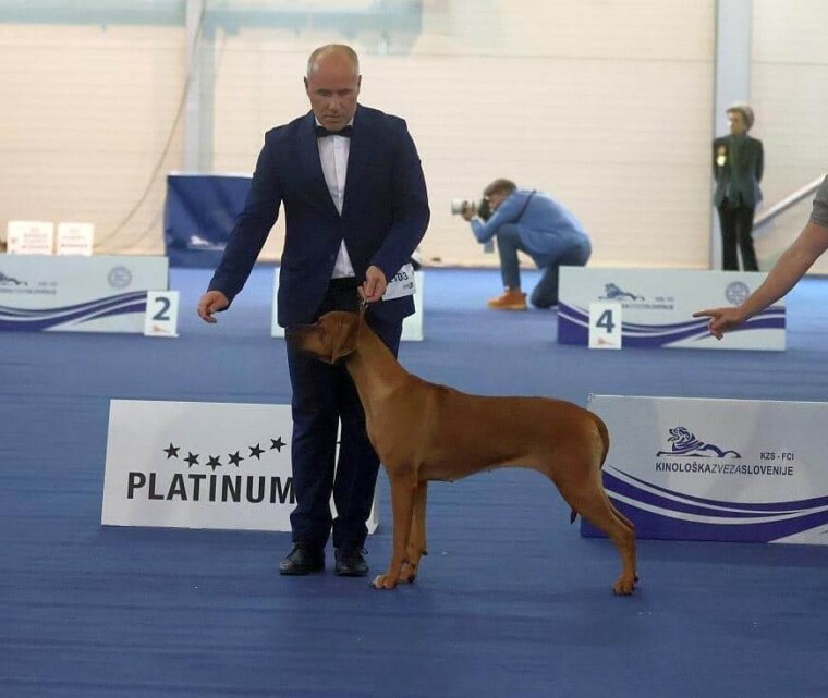 EURO DOG SHOW Slovenia 2024