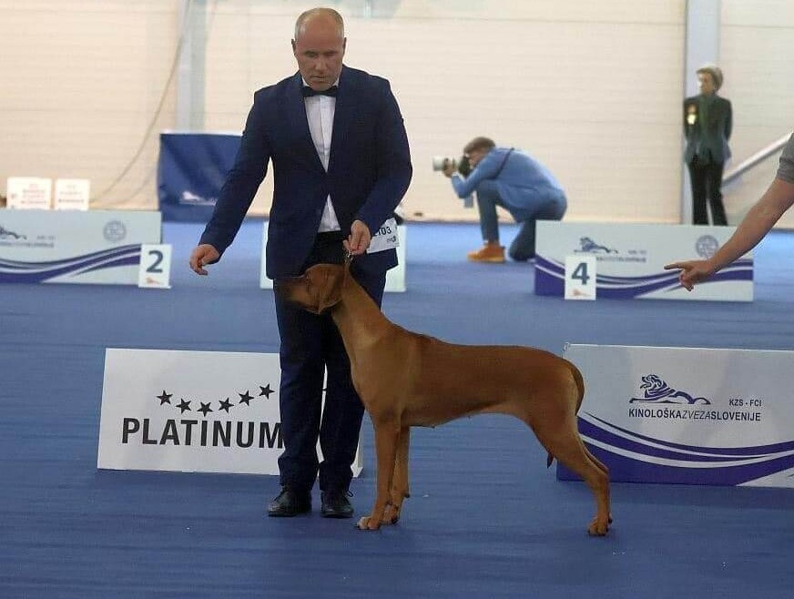 EURO DOG SHOW Slovenia 2024
