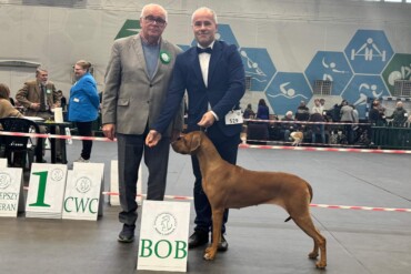 New CHAMPION of Poland