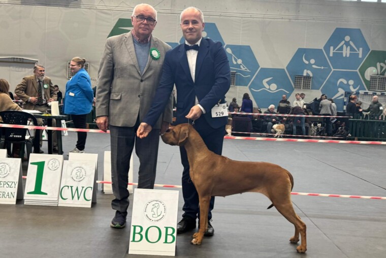 New CHAMPION of Poland