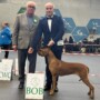 New CHAMPION of Poland